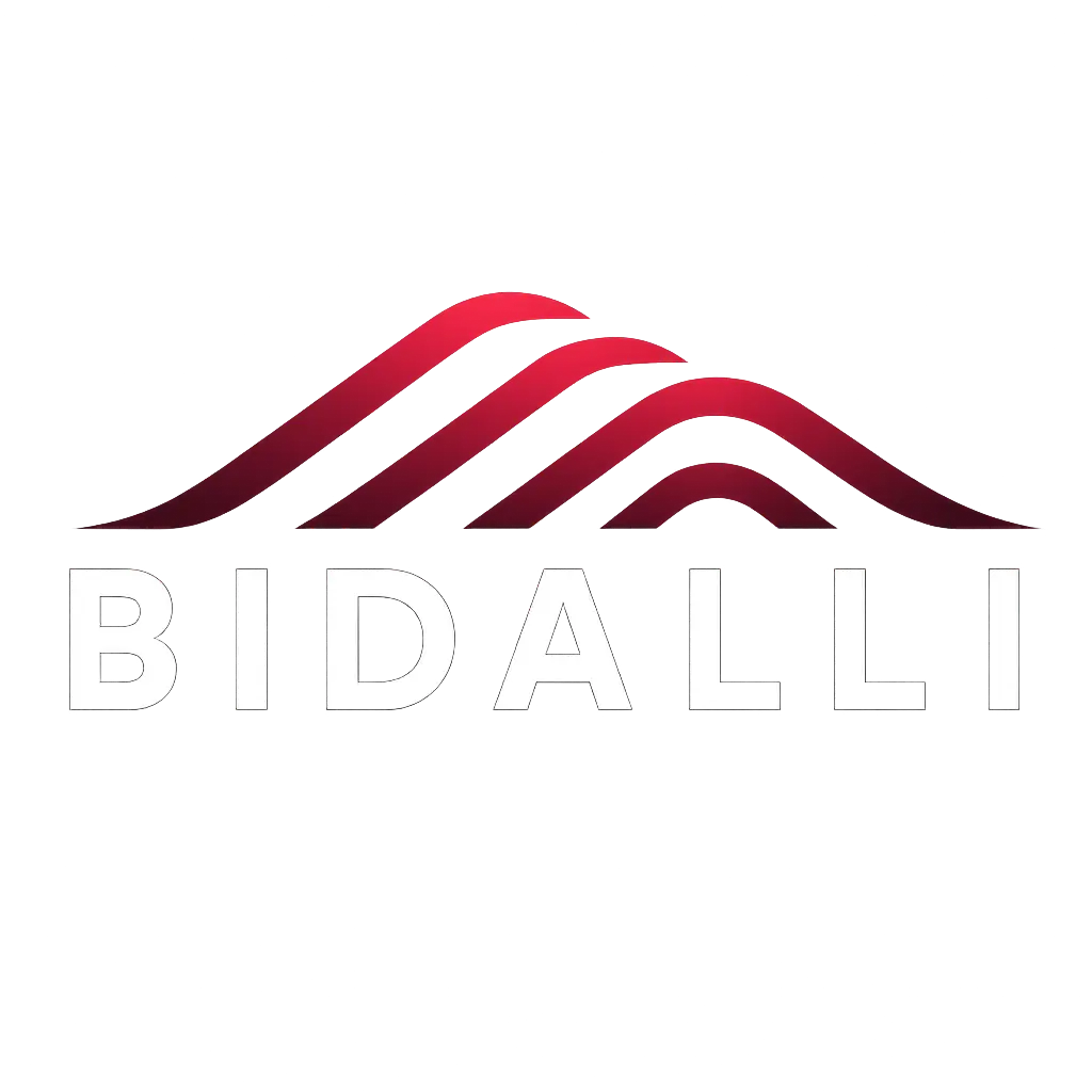Equipo Bidalli estructuras